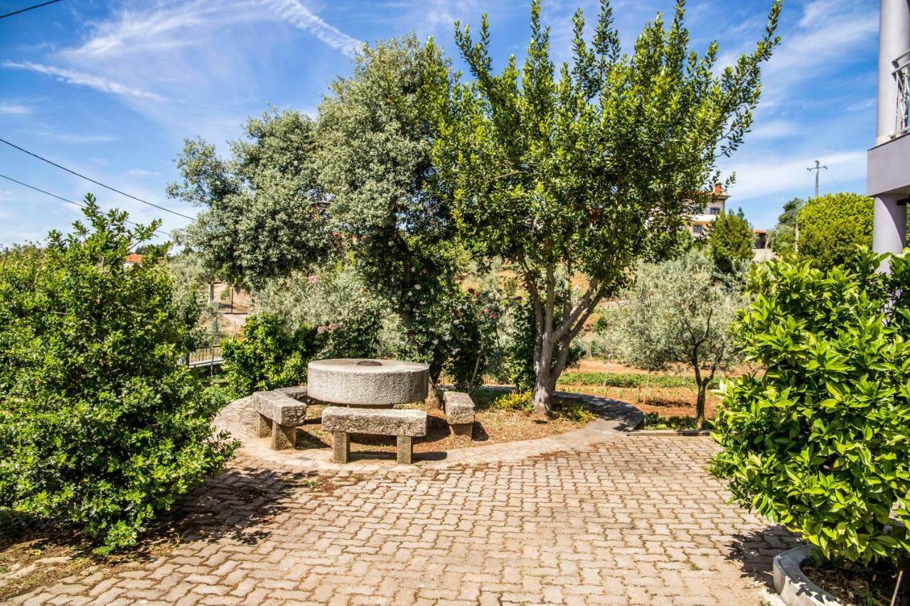 Casa Do Luzio Βίλα Macedo de Cavaleiros Εξωτερικό φωτογραφία